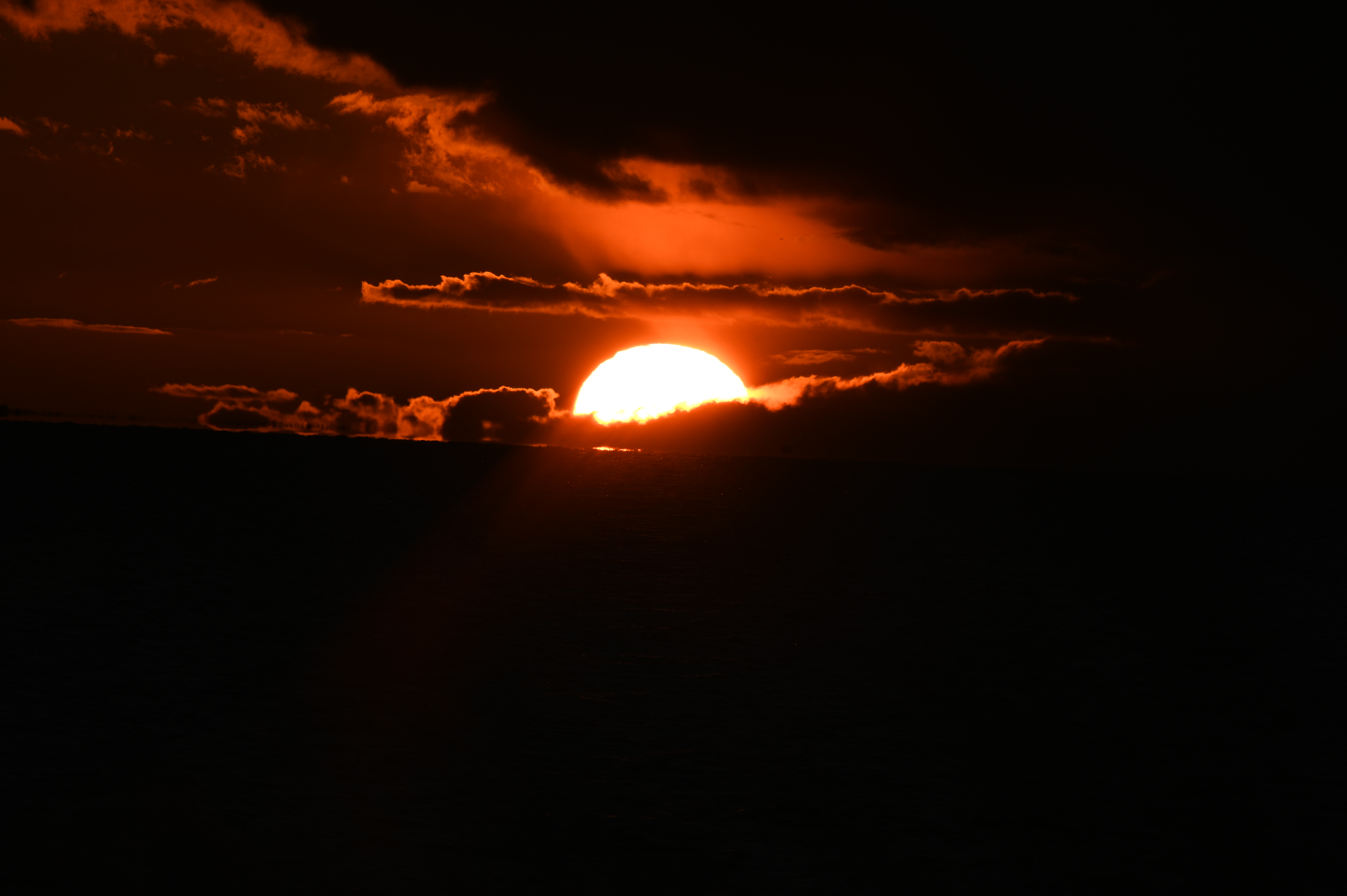 2025/10/18 - walk/DSC_0480.JPG